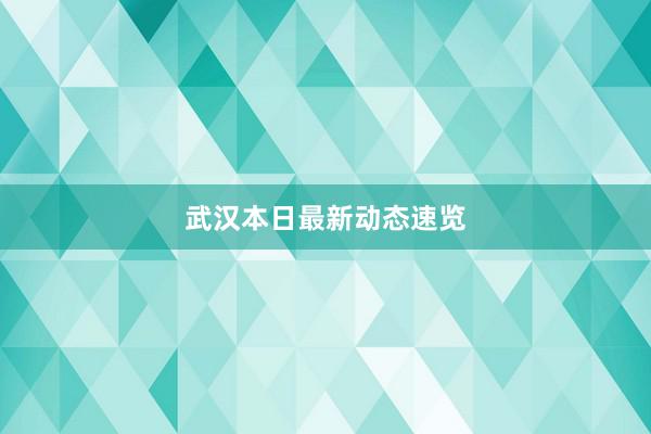 武汉本日最新动态速览